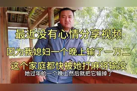 近期没有心情分享视频，因为媳妇一晚打麻将输了一万二，太可恶了