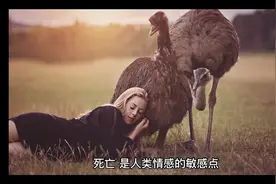 为什么死亡用“哀乐”？视频封面