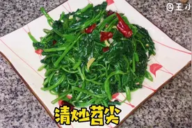 又解锁一种新的蔬菜，苕尖！健康的蔬菜，悄悄告诉你可以降血脂哦视频封面