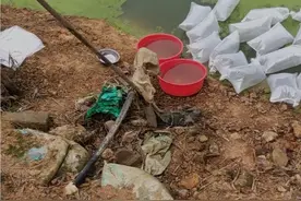 水花苗的正确放养方法《志林水产》视频封面