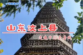 山东济宁汶上县，孔子工作过的地方，宝相寺太子灵踪塔的佛光常现视频封面