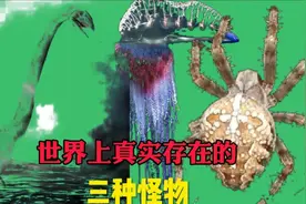 世界上真实存在的三种怪物，第一种一直是未知之谜，第二种美极了视频封面