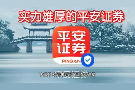 实力雄厚的平安证券，一起来围观！视频封面