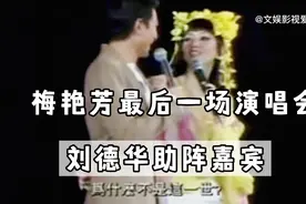 2003梅艳芳最后一场演唱会，刘德华和梅艳芳一起深情演唱视频封面