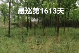 手机拍摄失败第1612次后，今天终于有感悟视频封面