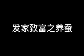 第一集｜记录如何通过养蚕发家致富视频封面
