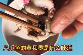 八爪鱼的黄和墨是什么味道 好不好吃 处理八爪鱼有窍门视频封面