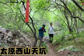 走进100多米深的太原天坑，这里长年没有阳光，住有很多的松鼠视频封面