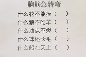 脑筋急转弯：什么花不能摸，什么狼不吃羊，什么油点不燃……