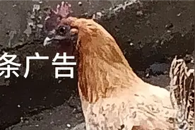 头条广告处理方法