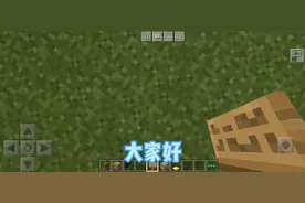 我的世界 如何打带有颜色的字？