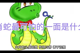 生肖蛇最可怕的一面是什么？视频封面