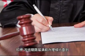 民诉法司法解释之执行程序二视频封面