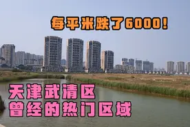 天津武清城区限购后每平米跌了6000元的区域。这里的房子能买吗？视频封面
