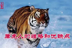 属虎人的性格和优缺点