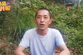 蜂王和工蜂到底谁在领导蜂群？让养蜂人来告诉你真相吧视频封面