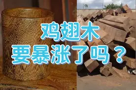 鸡翅木真的要暴涨了吗？为何马未都说鸡翅木比黄花梨还要珍贵？视频封面