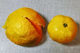 老一辈人说扔橘子皮等于扔钱，今天才知道原来好处这么多，真实用视频封面