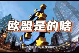 一分钟带你了解欧盟到底是个什么样的组织视频封面