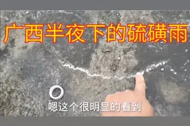 广西崇左农村，后半夜下的阵雨，这是什么情况，水泥地都是黄色粉视频封面
