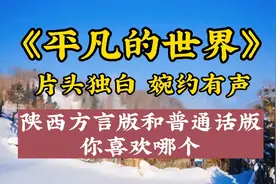 《平凡的世界》片头独白：婉约有声   陕西方言版和普通话版你喜视频封面