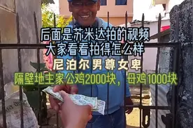 尼泊尔男尊女卑，公鸡2000尼币，母鸡1000，苏米达买鸡自己拍视频视频封面