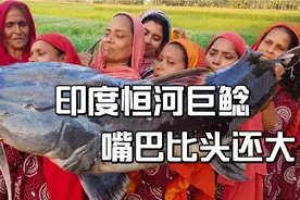 印度恒河“变异”怪鱼身长3米，被一群大妈做成美食拿来吃视频封面