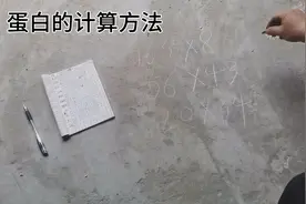 到家31天的小羊 今天算算合多少个蛋白。蛋白的计算方法是这样的视频封面