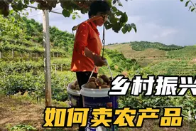 全国的农民兄弟，你还为农产品销售发愁吗？不按这几种方法去做视频封面