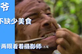 贝爷荒野求生，只要能动的都是自己美食范围，摄影师慌了视频封面