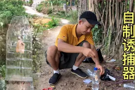 广西农村“果蝇”泛滥成灾，小伙制作诱捕器捕抓，效果非常好视频封面