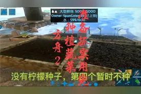 【休闲方舟2】种植蔬菜 准备抓实用宠#方舟生存进化手游
