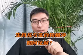 生肖龙与生肖狗相冲的化解方法！视频封面