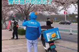 潍坊的樱花开了，外卖小哥承包看樱花服务视频封面