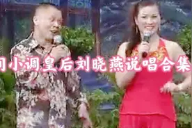 安徽民间小调皇后:刘晓燕说唱经典合集视频封面