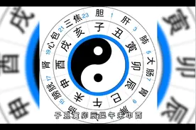 12时辰速记法视频封面