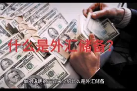 以通俗易懂的方式介绍什么是外汇储备？视频封面