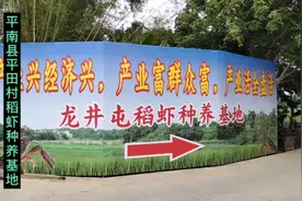 平南县平田村稻虾种养基地视频封面