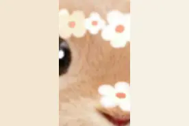 能赚大钱的女人都具备这6点看你有几个视频封面