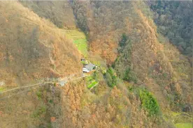 航拍陕西：秦岭大山深处，半山腰住着一户人家，享受着安静的生活视频封面