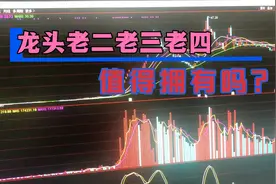 股市白嫖的知识：龙头很多该如何选择？视频封面