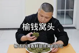 春天的榆钱怎么做才好吃？大厨分享榆钱窝头的家常做法！视频封面