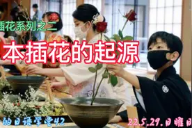 日本花道起源于“池坊”派，自有文字记载以来，已经流传了560年视频封面