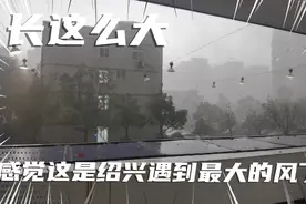 长这么大 感觉这是绍兴最大的风了视频封面