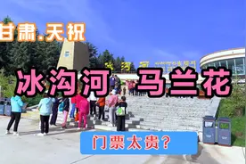 甘肃天祝的冰沟河景区马兰花海很震撼！但门票太贵。视频封面