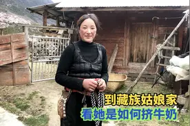 自驾到西藏，藏族姑娘卓玛邀请我到她家里，看她家环境了解挤牛奶视频封面