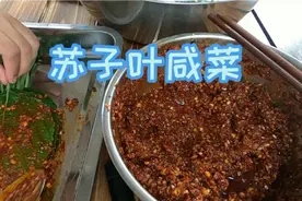东北小山村，延边姑娘做了一盆特别下饭的苏子叶咸菜，也太好吃啦视频封面