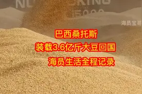 巴西桑托斯装载3.6亿斤大豆回国，海员生活全程记录视频封面