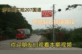 207国道梧州至贺州路段，很多集装箱大车，海运在梧州港转运