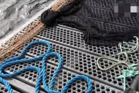 睡着后的海豹：我是谁？我在哪？视频封面